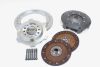 Flywheel clutch & ring gear assembly (Organic)