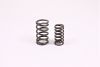 Valve spring pair