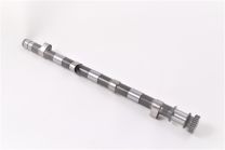 Exhaust camshaft