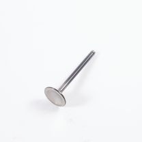 Exhaust valve 1.5ltr & 2ltr 0.3420" dia