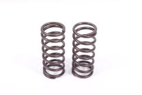 Valve spring pair
