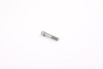 Brake pulley screw