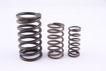 Valve Spring Set (Triple Springs)